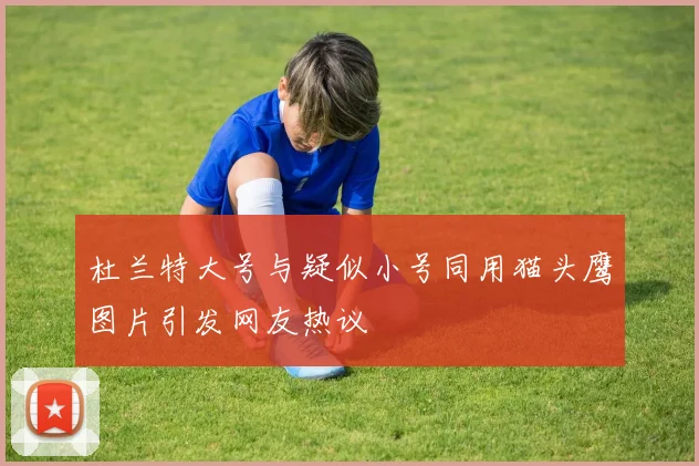 杜兰特大号与疑似小号同用猫头鹰图片引发网友热议